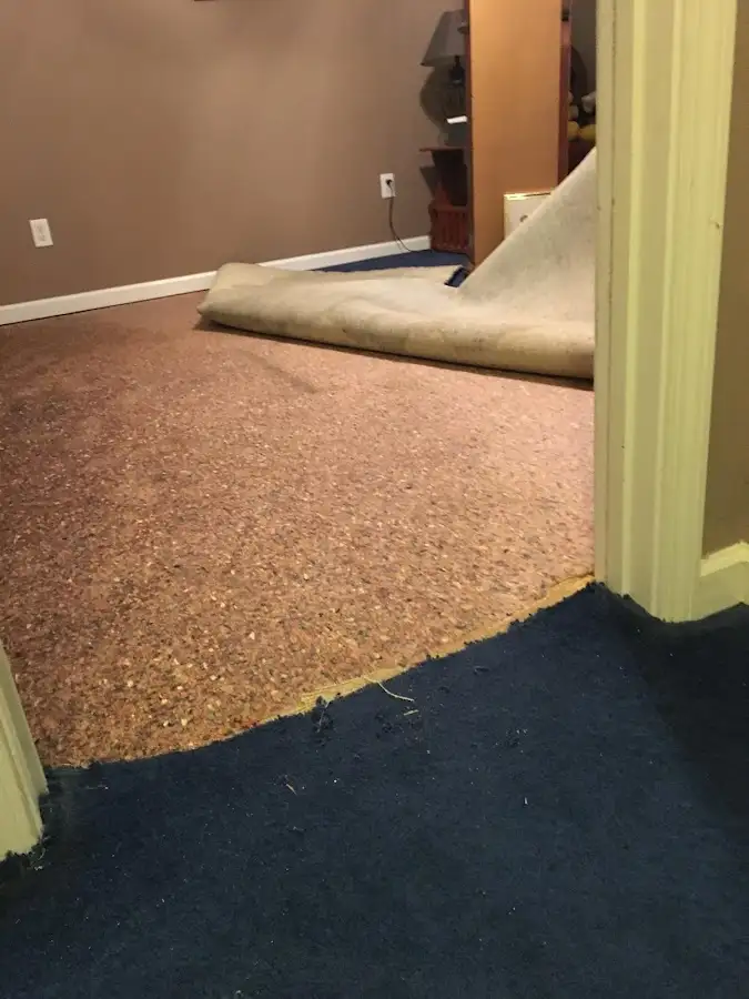 Carpet pad removal revealing water damage during Water Mitigation Services in Pleasanton