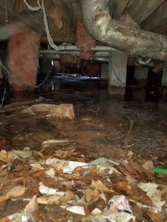 Crawl space flood assessment for Leak Detection & Repair in Pleasanton